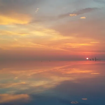 Fantastico #5 And #6 3*